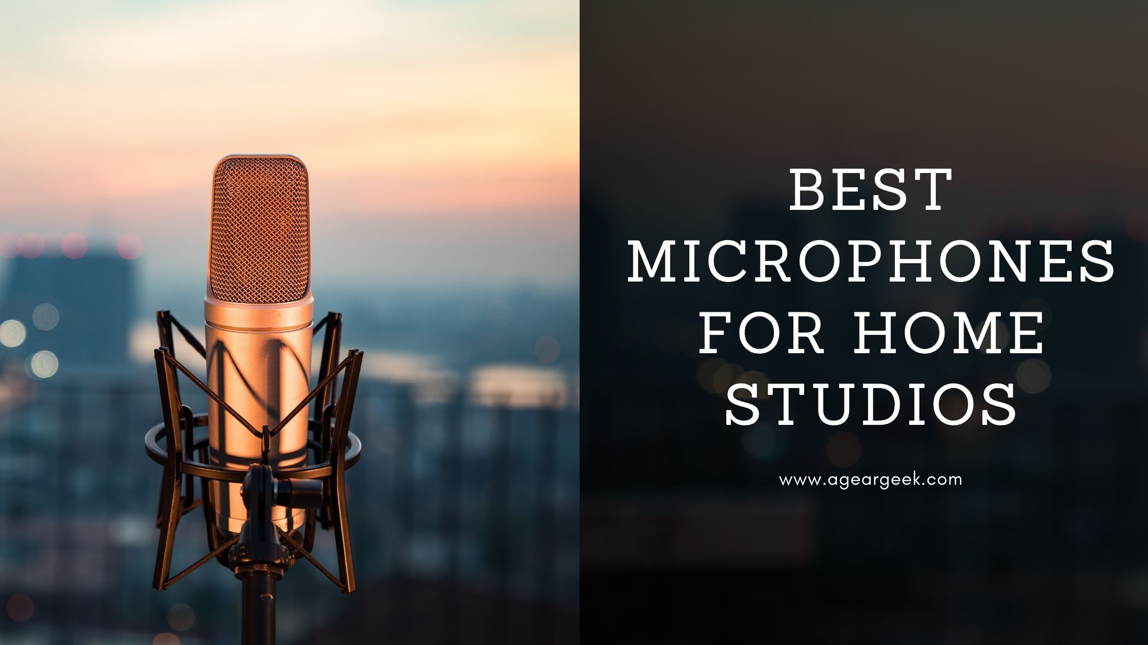 You are currently viewing Best Microphones for Home Studios